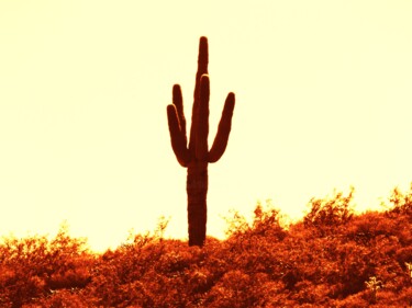 Digitale Kunst mit dem Titel "Vintage Cactus" von Troy Wilson-Ripsom, Original-Kunstwerk, Manipulierte Fotografie