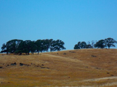 Fotografie mit dem Titel "California Vista" von Troy Wilson-Ripsom, Original-Kunstwerk, Digitale Fotografie