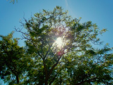 Фотография под названием "Tree Light Turlock" - Troy Wilson-Ripsom, Подлинное произведение искусства, Цифровая фотография