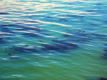 Fotografie getiteld "Kelp in the Bay" door Troy Wilson-Ripsom, Origineel Kunstwerk, Digitale fotografie