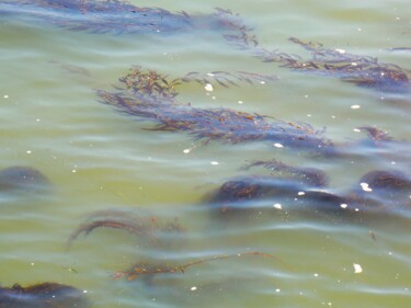 Fotografia intitulada "Waving in the Water" por Troy Wilson-Ripsom, Obras de arte originais, Fotografia digital