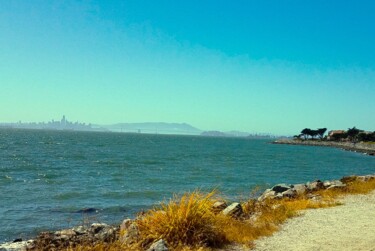Photographie intitulée "View of San Francis…" par Troy Wilson-Ripsom, Œuvre d'art originale, Photographie numérique