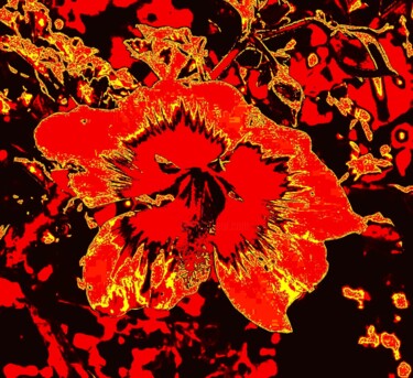 Digital Arts titled "Blazing Bloomer" by Troy Wilson-Ripsom, Original Artwork, Manipulated Photography