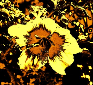 Digital Arts titled "Gilded Flower" by Troy Wilson-Ripsom, Original Artwork, Manipulated Photography