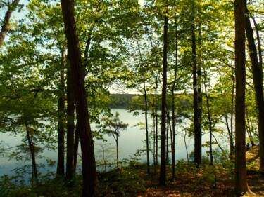Фотография под названием "A Lake Comes Into V…" - Troy Wilson-Ripsom, Подлинное произведение искусства, Цифровая фотография