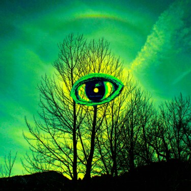 「Eye of the Watcher」というタイトルのデジタルアーツ Troy Wilson-Ripsomによって, オリジナルのアートワーク, 操作する