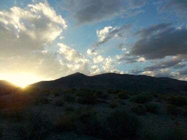 Fotografie mit dem Titel "Desert Beauty in Fa…" von Troy Wilson-Ripsom, Original-Kunstwerk, Digitale Fotografie