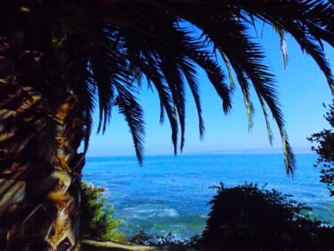 Fotografia intitulada "Tropical View from…" por Troy Wilson-Ripsom, Obras de arte originais, Fotografia digital