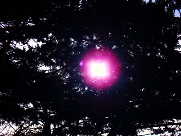 Fotografia zatytułowany „A Light in the Tree…” autorstwa Troy Wilson-Ripsom, Oryginalna praca, Manipulowana fotografia