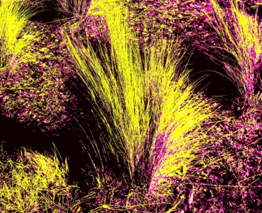 Цифровое искусство под названием "Golden Grass" - Troy Wilson-Ripsom, Подлинное произведение искусства, Манипулированная фот…