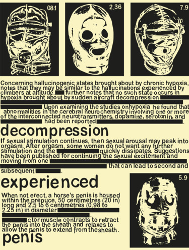 Цифровое искусство под названием "maskcollage" - Apocalypticboots, Подлинное произведение искусства, 2D Цифровая Работа