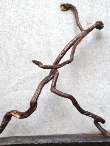 Sculpture intitulée "LaissaO-aller___.JPG" par Marie Tucat, Œuvre d'art originale, Bois
