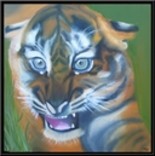 Peinture intitulée "jeune tigre" par Tulipe83, Œuvre d'art originale, Huile