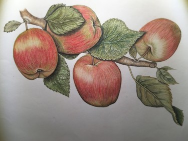 Zeichnungen mit dem Titel "die Äpfel" von Tomrisart, Original-Kunstwerk, Conté-Buntstifte