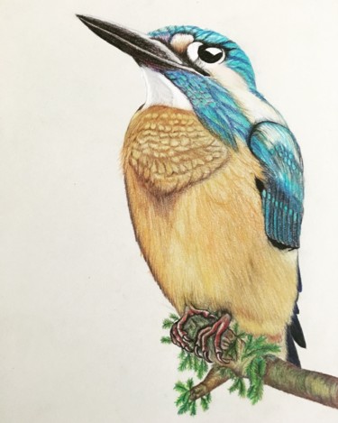 Disegno intitolato "der Eisvogel" da Tomrisart, Opera d'arte originale, Matite colorate