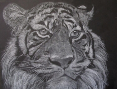 Drawing titled "Tiger" by Txuscuende, Original Artwork, Pastel