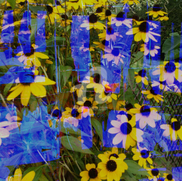 Digital Arts titled "Cubisme floral" by Ty80, Original Artwork, Photo Montage