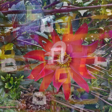 Arte digitale intitolato "Fleur cubisme 2" da Ty80, Opera d'arte originale, Fotomontaggio