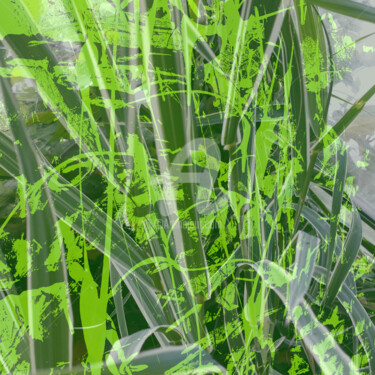 Arts numériques intitulée "Fine herbe" par Ty80, Œuvre d'art originale, Photo montage