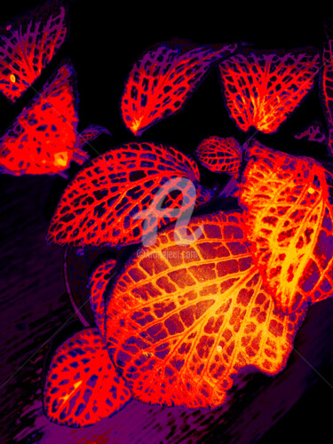 Digitale Kunst mit dem Titel "Fluorescente de pla…" von Ty80, Original-Kunstwerk, Fotomontage
