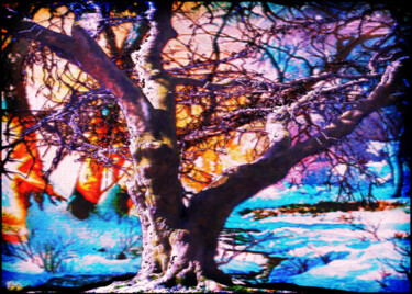 Arte digital titulada "Ents ... Forest's G…" por Tyfhaan Yk, Obra de arte original, Pintura Digital