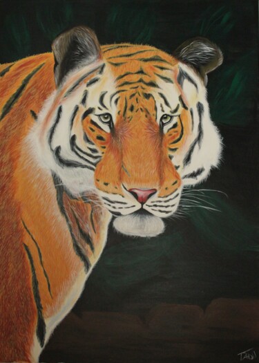 Painting titled "Tiger" by Tzina Tsaou, Original Artwork, Acrylic