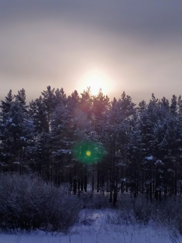 Photography titled "Мороз и солнце" by Iurii Iudin, Original Artwork, Digital Photography