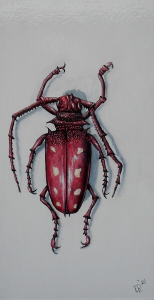 Schilderij getiteld "Red Beetle" door Uko Post, Origineel Kunstwerk, Olie