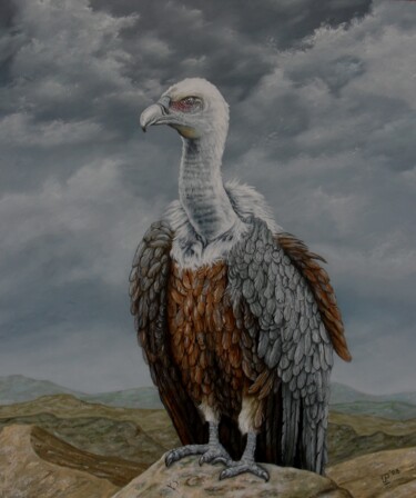 Ζωγραφική με τίτλο "Nekhbet/Vulture" από Uko Post, Αυθεντικά έργα τέχνης, Λάδι
