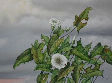Painting titled "clouds and plant" by Uko Post, Original Artwork, Oil
