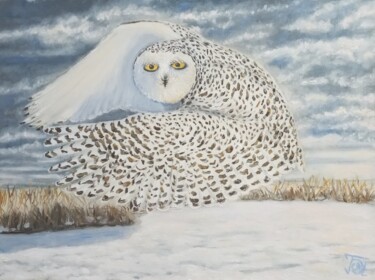 Painting titled "Snowy owl" by Ulia Vasina, Original Artwork, Oil