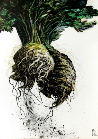 Drawing titled "Celery" by Uliana Balan, Original Artwork, Ink