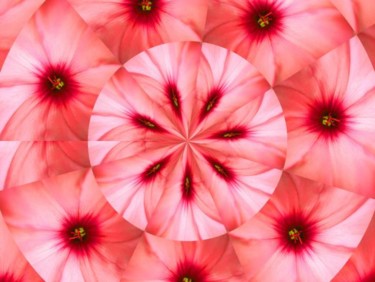 Digitale Kunst mit dem Titel "Flowers 3" von Ulli Heupel, Original-Kunstwerk, Digitale Malerei