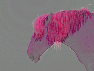 Фотография под названием "Horse 3" - Ulli Heupel, Подлинное произведение искусства, Другой