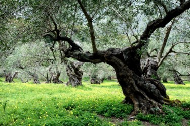 Fotografie mit dem Titel "Crete XLVII" von Ulli Heupel, Original-Kunstwerk