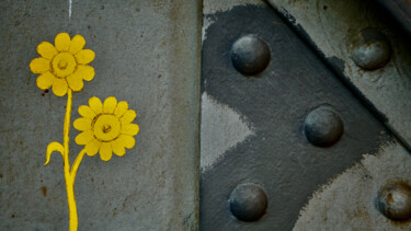 Fotografía titulada "Stahl und Blume" por Ulrich Ernst Nievergelt, Obra de arte original, Fotografía digital