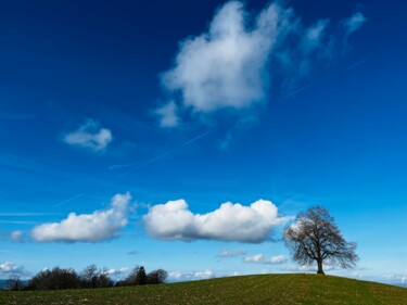 Photographie intitulée "Der Baum und die Wo…" par Ulrich Ernst Nievergelt, Œuvre d'art originale, Photographie numérique