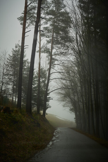 Fotografía titulada "Naturstück 3" por Ulrich Kaiser, Obra de arte original, Fotografía digital