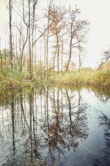 Fotografie mit dem Titel "Naturstück 8" von Ulrich Kaiser, Original-Kunstwerk, Digitale Fotografie