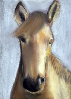 Dessin intitulée "horse" par Ulrichnova, Œuvre d'art originale