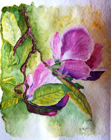 Schilderij getiteld "Magnolienblüten" door Ulrike Kröll, Origineel Kunstwerk, Aquarel