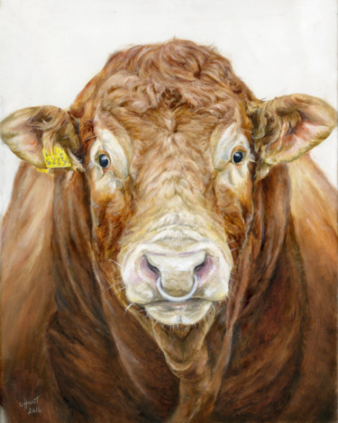 Pintura intitulada "Limousin Bull oil p…" por Una Hurst, Obras de arte originais, Óleo