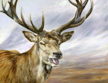 Malerei mit dem Titel "Red deer stag Cairn…" von Una Hurst, Original-Kunstwerk, Öl