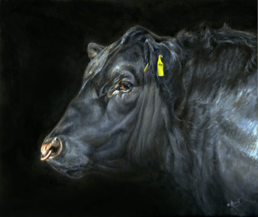 Painting titled "Aberdeen Angus Bull" by Una Hurst, Original Artwork, Oil