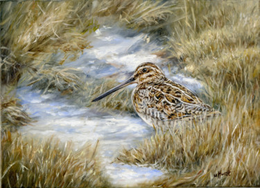 Painting titled "Snipe in the grass" by Una Hurst, Original Artwork, Oil