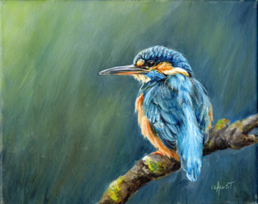 Painting titled "Kingfisher oil pain…" by Una Hurst, Original Artwork, Oil