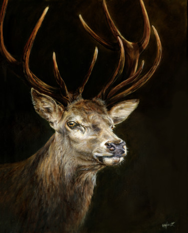 Malarstwo zatytułowany „Red deer stag” autorstwa Una Hurst, Oryginalna praca, Olej