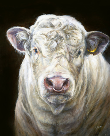 Painting titled "Charolais Bull" by Una Hurst, Original Artwork, Oil Mounted on Wood Stretcher frame