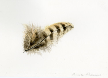 绘画 标题为“Pheasant feather” 由Una Hurst, 原创艺术品, 水彩