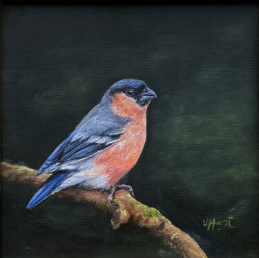 Painting titled "Bullfinch bird" by Una Hurst, Original Artwork, Oil
